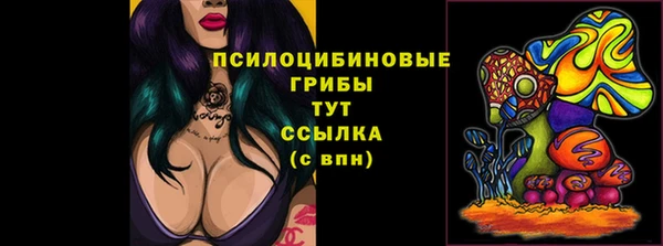 бутират Козловка
