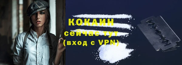 PSILOCYBIN Кодинск