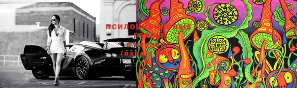 PSILOCYBIN Кодинск