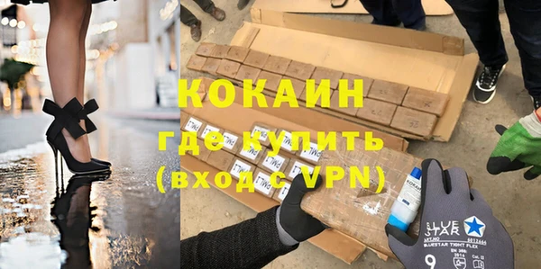 сатива Козельск