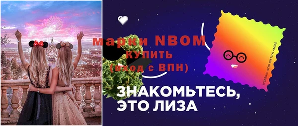 сатива Козельск