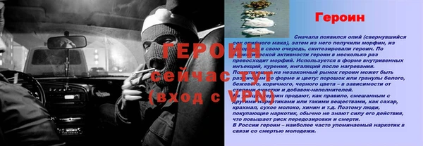 PSILOCYBIN Кодинск