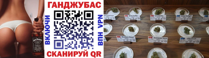 Купить где Орёл Каннабис сатива